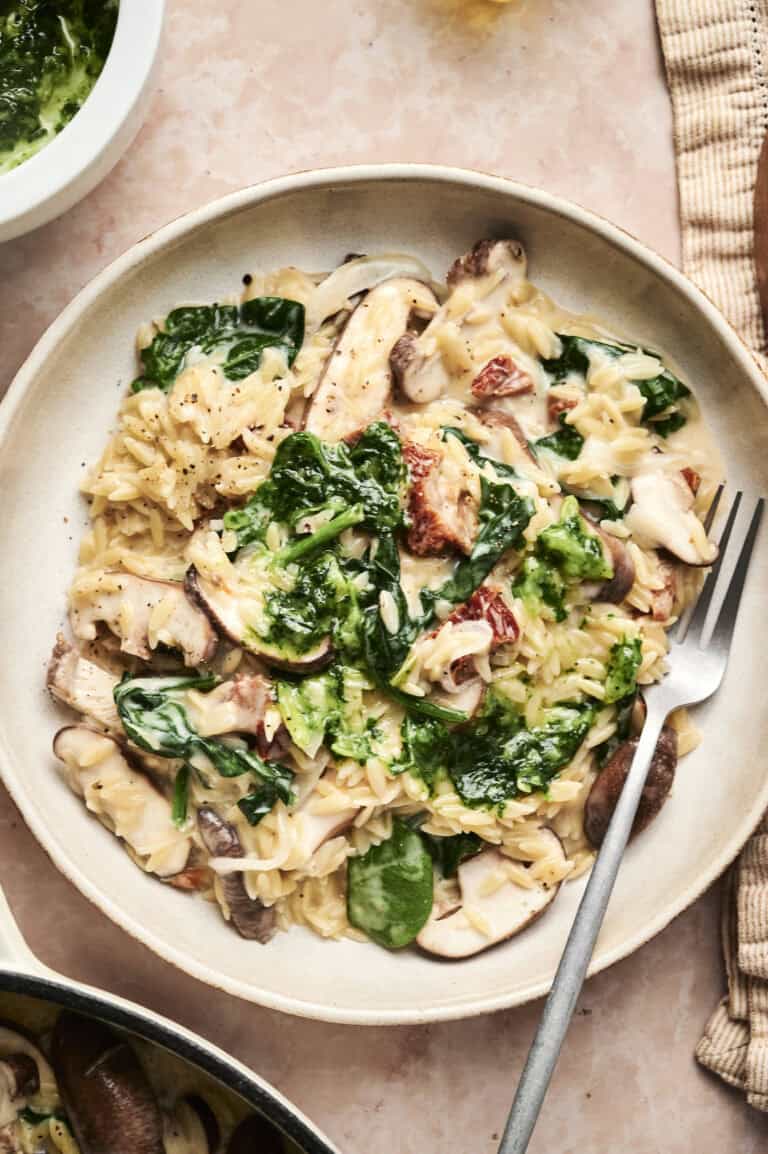 Mushroom and Sun Dried Tomato Orzo