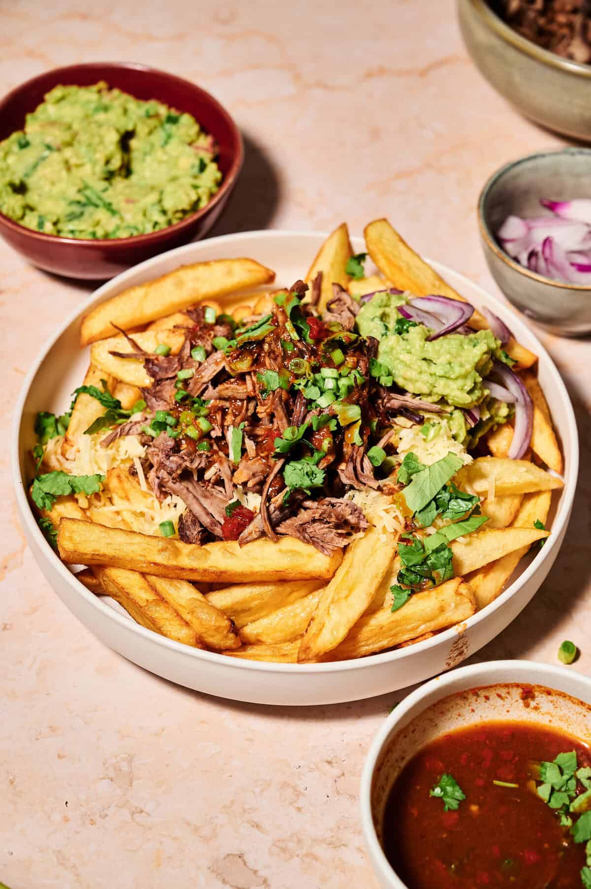 tasty loaded birria fries for sharing