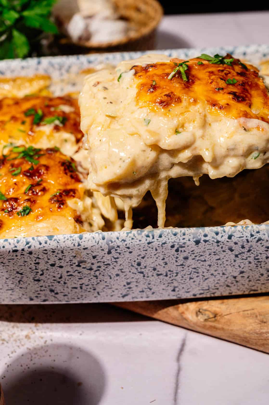 Cheesy scalloped potatoes baked in a speckled casserole dish with golden brown melted cheddar and creamy sauce, ready to serve.