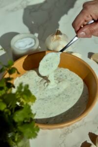 Garlic Cilantro Cream Sauce